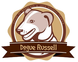 Canil Dogue Russel Logo